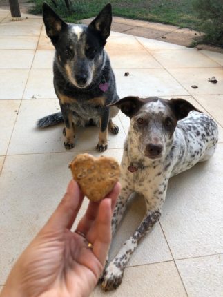 biscoito de malte